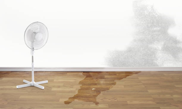 Best Local water damage restoration  in Syracuse, IN