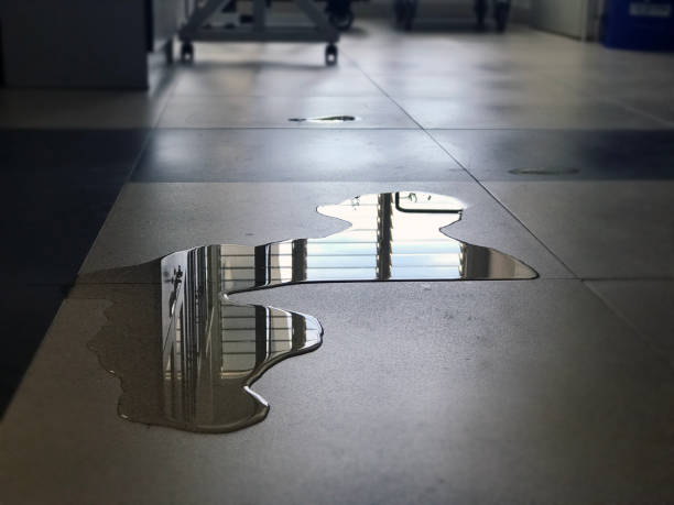 Best 24-hour water damage restoration  in Syracuse, IN