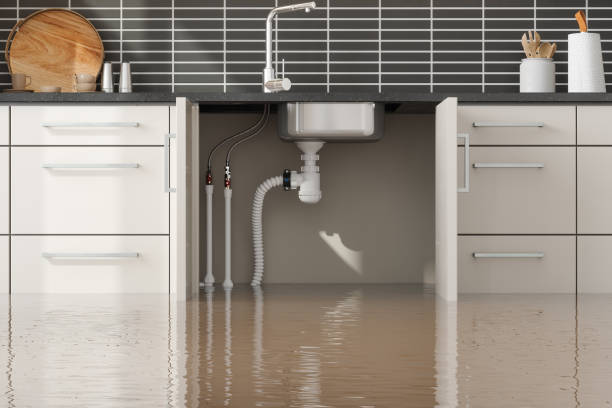 Best Flooded house restoration  in Syracuse, IN